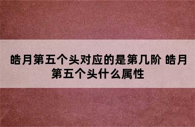 皓月第五个头对应的是第几阶 皓月第五个头什么属性